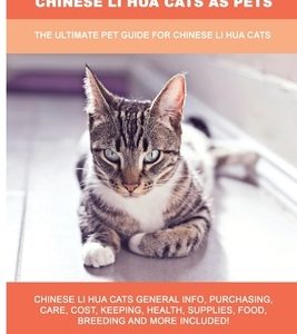 Chinese Li Hua Cats as Pets: The Ultimate Pet Guide for Chinese Li Hua Cats