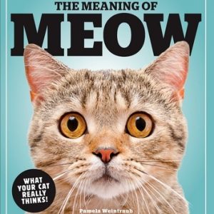 The Meaning of Meow: What Your Cat Really Thinks!