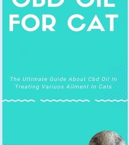 CBD Oil for Cat: The Ultimate Guide About Cbd Oil In Treating Variuos Ailment In Cats