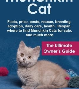 Munchkin Cat: The Ultimate Owner's Guide