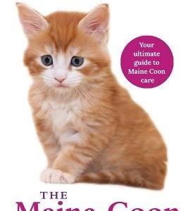 The Maine Coon Guardian: Your Ultimate Guide to Maine Coon Care