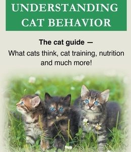 Cat Training And Understanding Cat Behavior