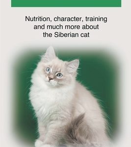 Siberian Cat