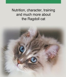 Ragdoll Cat