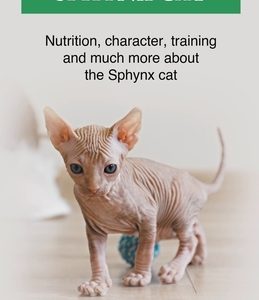 Sphynx Cat