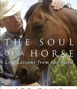 The Soul of a Horse: Life Lessons from the Herd