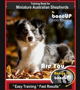 Mini Australian Shepherd Training Book for Miniature Australian Shepherds By BoneUP DOG Training, Are You Ready to Bone Up? Easy Training * Fast Resul