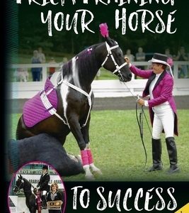 Trick Training Your Horse To Success