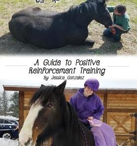 Equine Empowerment: A Guide To Positive Reinforcement Training
