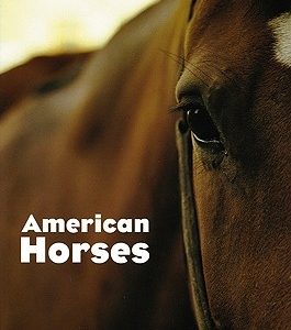 American Horses