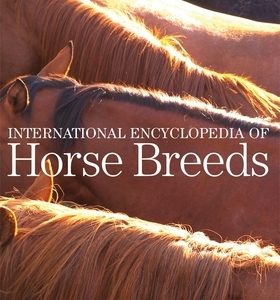 International Encyclopedia of Horse Breeds