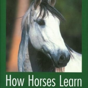 How Horses Learn: Which Training Methods Work and Why