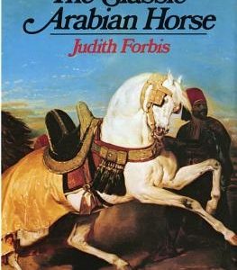 Classic Arabian Horse