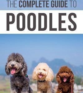 The Complete Guide to Poodles: Standard, Miniature, or Toy - Learn Everything You Need to Know to Successfully Raise Your Poodle From Puppy to Old Ag