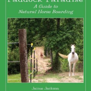 Paddock Paradise: A Guide to Natural Horse Boarding