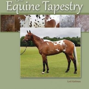The Equine Tapestry: An Introduction to Colors and Patterns