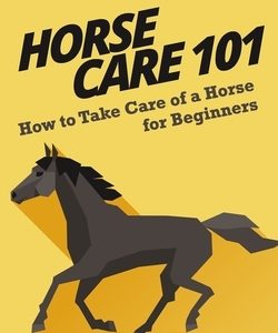 Horse Care 101: How to Take Care of a Horse for Beginners