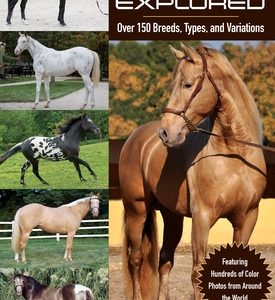 Horse Color Explored: Over 150 Breeds, Types, and Variations