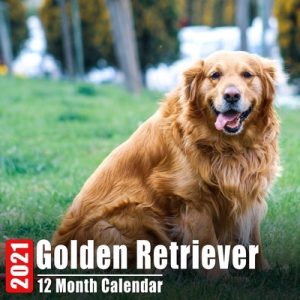 Calendar 2021 Golden Retriever: Cute Golden Retrievers Photos Monthly Mini Calendar With Inspirational Quotes each Month