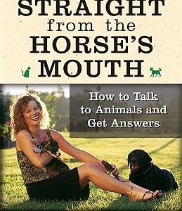 Straight from the Horse's Mouth: How to Talk to Animals and Get Answers