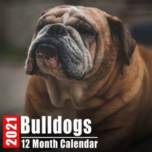 Calendar 2021 Bulldogs: Cute Bulldog Photos Monthly Mini Calendar With Inspirational Quotes each Month