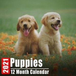 Calendar 2021 Puppies: Cute Dogs Puppy Photos Monthly Mini Calendar With Inspirational Quotes each Month