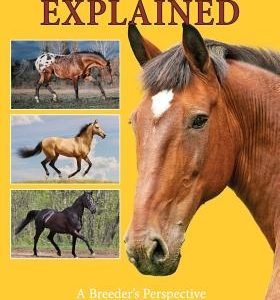 Horse Color Explained: A Breeder's Perspective