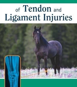 Howell Equine Handbook of Tendon and Ligament Injuries