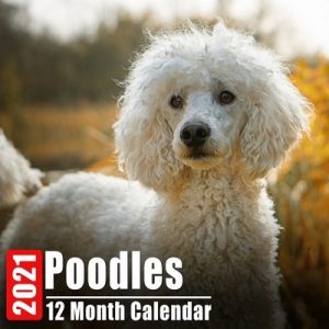 Calendar 2021 Poodles: Cute Poodle Photos Monthly Mini Calendar With Inspirational Quotes each Month