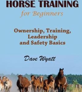 Horse Training for Beginners: Ownership, Training, Leadership and Safety Basics