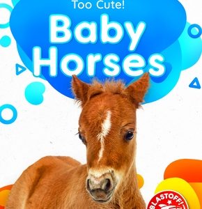 Baby Horses