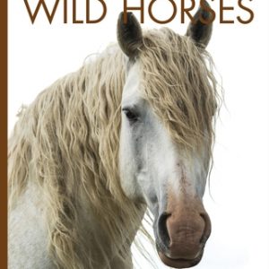 Wild Horses
