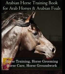 Arabians Training Horse Training Book for Arab Horse & Arabian Foals, Horse Training, Horse Grooming Horse Care, Horse Groundwork Arabian Horse Book