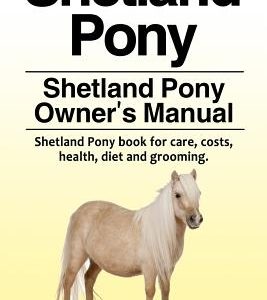 Shetland Pony. Shetland Pony Owner's Manual. Shetland Pony book for care, costs, health, diet and grooming.