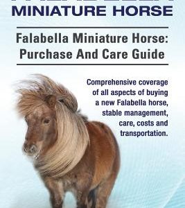 Falabella Miniature Horse. Falabella Miniature horse: purchase and care guide. Comprehensive coverage of all aspects of buying a new Falabella, stable