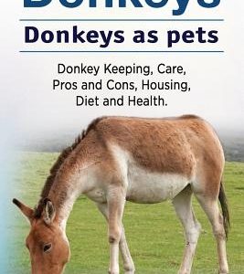 Donkeys. Donkeys as pets. Donkey Keeping, Care, Pros and Cons, Housing, Diet and Health.