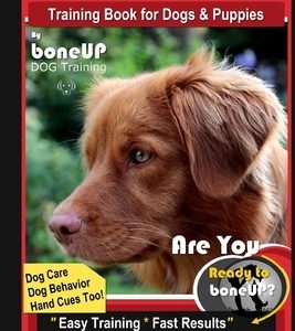 Nova Scotia Duck Tolling Retriever Training Book for Dogs & Puppies By BoneUP DOG Training, Dog Care, Dog Behavior, Hand Cues Too! Are You Ready to Bo
