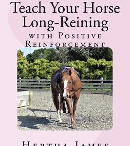 Teach Your Horse Long-Reining with Positive Reinforcement