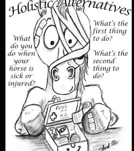 Horse 102: What's in My Medicine Chest and First Aid Kit?