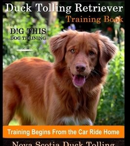 Nova Scotia Duck Tolling Retriever Training Book By D!G THIS DOG Training, Training Begins from the Car Ride Home, Nova Scotia Duck Tolling Retriever