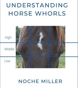 Understanding Horse Whorls