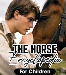 The Horse Encyclopedia For Children The Basics Of Horse Caring And Riding: Ultimate Guide To Caring For Horses