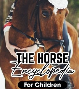 The Horse Encyclopedia For Children The Basics Of Horse Caring And Riding: Horse Raising Guide Book