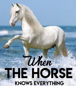 When The Horse Knows Everything A Story About The Connection Between Human And Animals: A Book For Horse Lovers