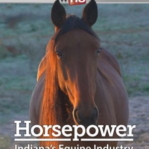 Horsepower: Indiana's Equine Industry
