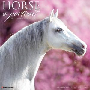 Horse: A Portrait 2023 Wall Calendar