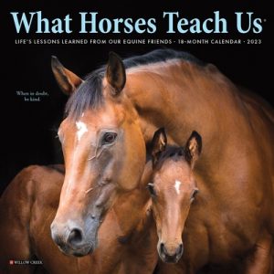 What Horses Teach Us 2023 Mini Wall Calendar