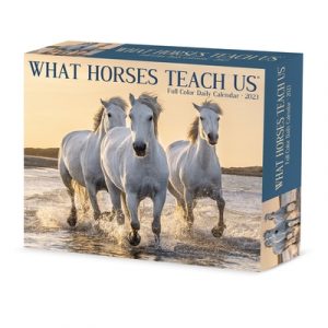 What Horses Teach Us 2023 Box Calendar