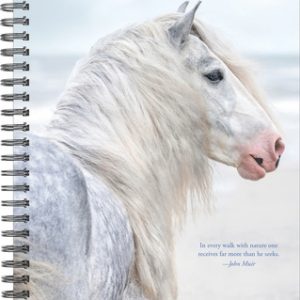 What Horses Teach Us 2023 Engagement Calendar