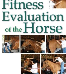 Fitness Evaluation of the Horse